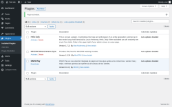 Page screenshot: Plugins &lsaquo; Test site &mdash; WordPress