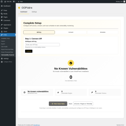 Page screenshot: Tools &rarr; Vulnerability Scanner
