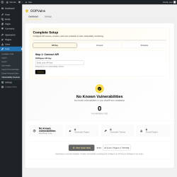 Page screenshot: Tools &rarr; Vulnerability Scanner
