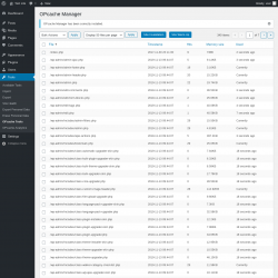 Page screenshot: Tools → OPcache Tools