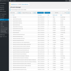 Page screenshot: Tools → OPcache Tools