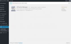 Page screenshot: PerfOps Settings