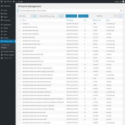 Page screenshot: PerfOps Tools → OPcache