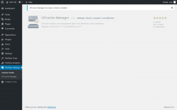 Page screenshot: PerfOps Settings