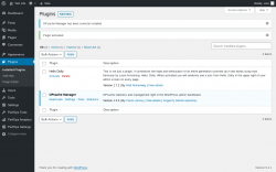 Page screenshot: Plugins ‹ Test site — WordPress