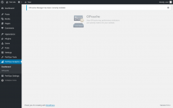 Page screenshot: PerfOps Analytics