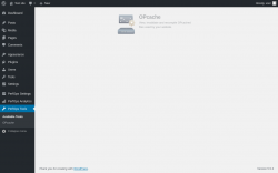 Page screenshot: PerfOps Tools