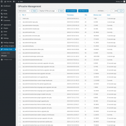 Page screenshot: PerfOps Tools → OPcache