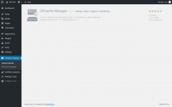 Page screenshot: PerfOps Settings