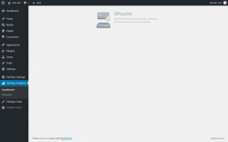 Page screenshot: PerfOps Analytics