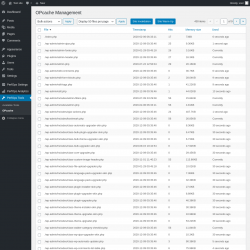 Page screenshot: PerfOps Tools → OPcache
