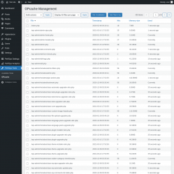 Page screenshot: PerfOps Tools → OPcache