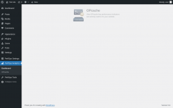 Page screenshot: PerfOps Analytics
