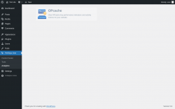 Page screenshot: PerfOps One → Analytics