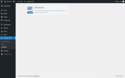 Page screenshot: PerfOps One → Analytics