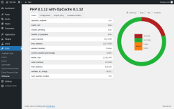 Page screenshot: Tools → OPCache