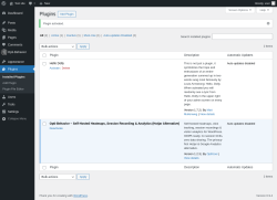 Page screenshot: Plugins &lsaquo; Test site &mdash; WordPress