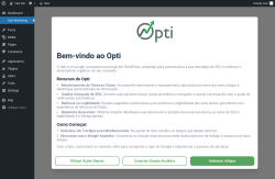 Page screenshot: Opti Marketing