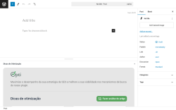 Page screenshot: Add New Post &lsaquo; Test site &mdash; WordPress