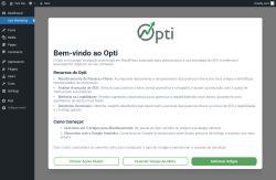 Page screenshot: Opti Marketing