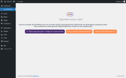 Page screenshot: Opti Marketing &lsaquo; Test site &mdash; WordPress