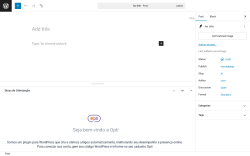Page screenshot: Add Post &lsaquo; Test site &mdash; WordPress