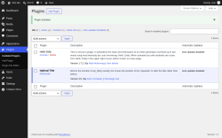 Page screenshot: Plugins &lsaquo; Test site &mdash; WordPress