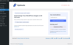 Page screenshot: Optimole ‹ Test site — WordPress
