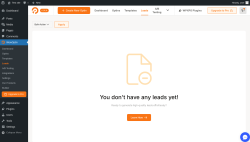 Page screenshot: WowOptin → Leads