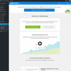 Page screenshot: Welcome to OptinMonster ‹ Test site — WordPress