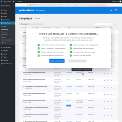 Page screenshot: OptinMonster  → Campaigns