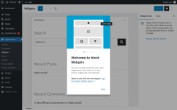 Page screenshot: Widgets &lsaquo; Test site &mdash; WordPress