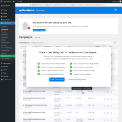 Page screenshot: OptinMonster  &rarr; Campaigns