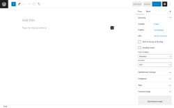 Page screenshot: Add New Post &lsaquo; Test site &mdash; WordPress