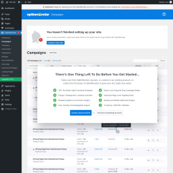 Page screenshot: OptinMonster  &rarr; Campaigns