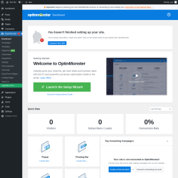 Page screenshot: OptinMonster 