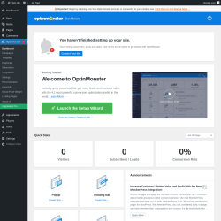 Page screenshot: OptinMonster 