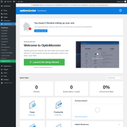Page screenshot: OptinMonster 