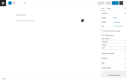 Page screenshot: Add New Post &lsaquo; Test site &mdash; WordPress