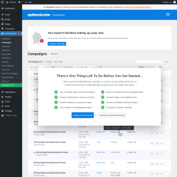 Page screenshot: OptinMonster  &rarr; Campaigns
