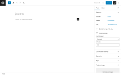 Page screenshot: Add New Post &lsaquo; Test site &mdash; WordPress