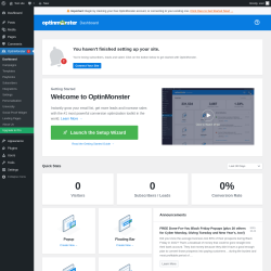 Page screenshot: OptinMonster 