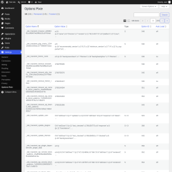 Page screenshot: Settings &rarr; Options Pixie