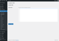 Page screenshot: Orbem Studio &rarr; Custom CSS