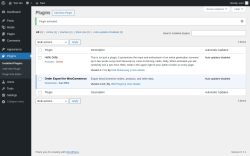 Page screenshot: Plugins &lsaquo; Test site &mdash; WordPress