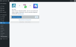 Page screenshot: WhatsApp Button &lsaquo; Test site &mdash; WordPress