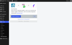 Page screenshot: WhatsApp Button &lsaquo; Test site &mdash; WordPress
