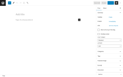 Page screenshot: Add New Post &lsaquo; Test site &mdash; WordPress