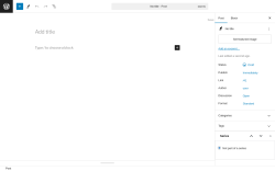 Page screenshot: Add New Post &lsaquo; Test site &mdash; WordPress