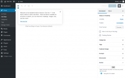 Page screenshot: Add New Post &lsaquo; Test site &mdash; WordPress